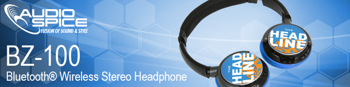 BZ-100 Bluetooth Wireless Headphone Support