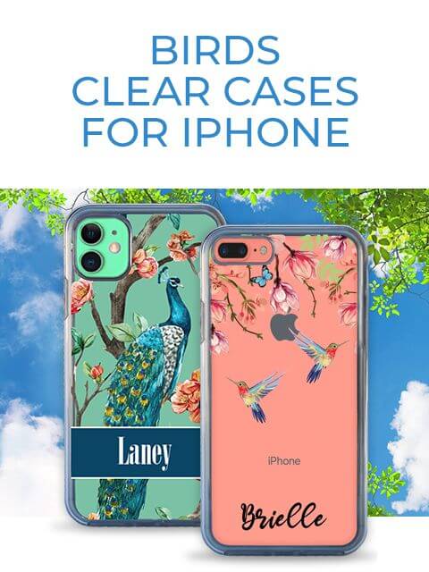 birds Cases