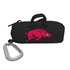 Arkansas Razorbacks Scorch Earbuds + Mic with BudBag
