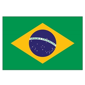 Picture for category Brazil