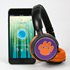 Clemson Tigers Sonic Jam Bluetooth® Headphones
