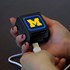 Michigan Wolverines WP-400X 4-Port USB Wall Charger
