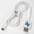 Air Force Falcons USB-C Cable with QuikClip
