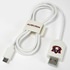 Auburn Tigers USB-C Cable with QuikClip
