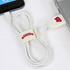 Wisconsin Badgers USB-C Cable with QuikClip
