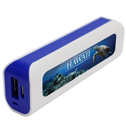
Hawaii Turtle APU 1800GS USB Mobile Charger