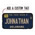 Personalized License Plate Case for iPhone 6 Plus / 6s Plus – Hybrid Delaware
