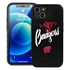 Guard Dog Wisconsin Badgers - Go Badgers™ Hybrid Case for iPhone 13 Mini
