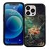 Famous Art Case for iPhone 14 Pro (Fragonard - The Swing) 
